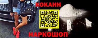 индика Гатчина