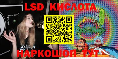 индика Гатчина