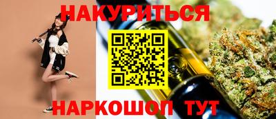 индика Гатчина