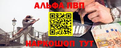 индика Гатчина