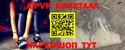 индика Гатчина