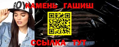 индика Гатчина