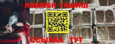 индика Гатчина