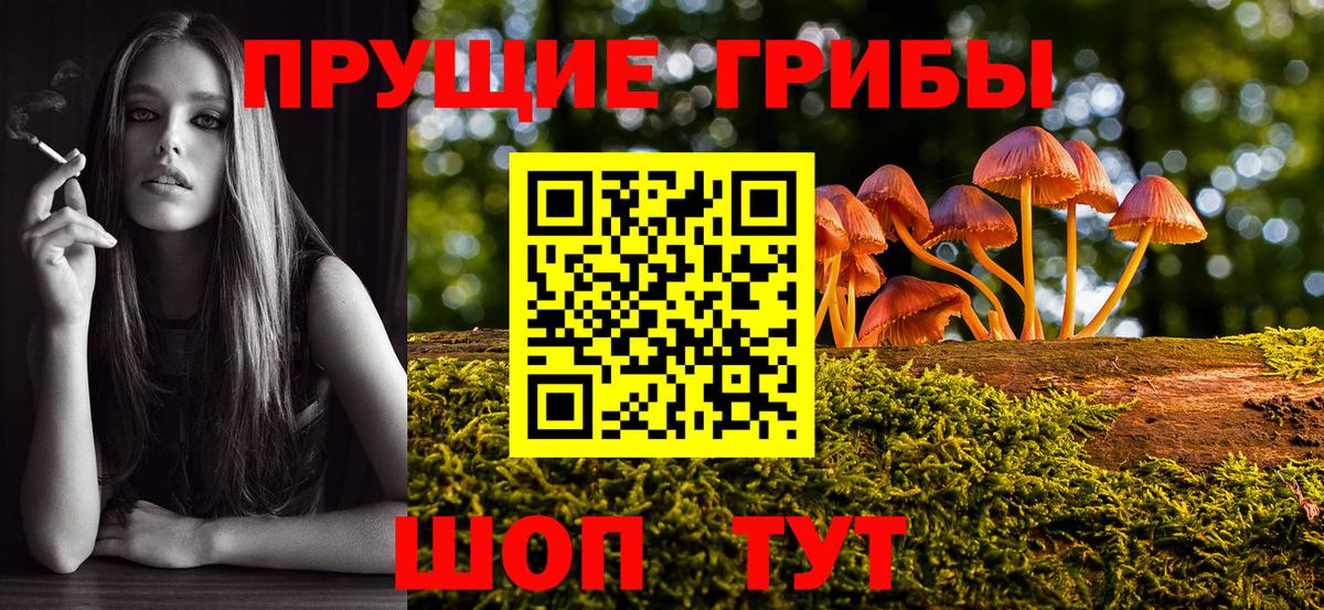 Галлюциногенные грибы прущие грибы  Псилоцибиновые грибы прущие грибы  Балашов  Вход с VPN 