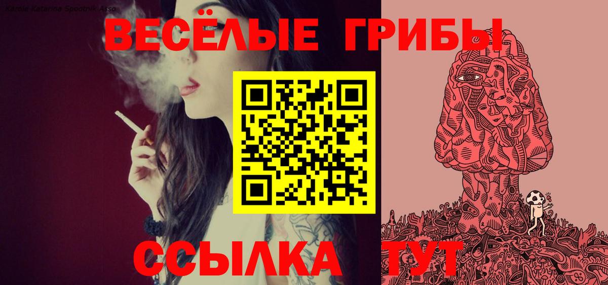 Галлюциногенные грибы Psilocybine cubensis Балашов